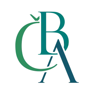 open-banking-directory-czech-standard-for-open-banking-cobs-technoxander-dot-com